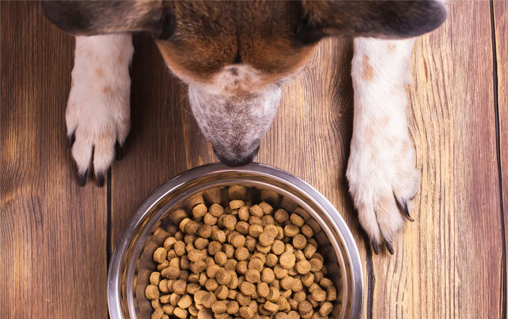 Claude (Suzhou) Pet Health Technology Co., Ltd.
