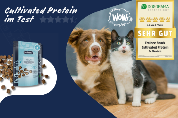 Vegan dog snack in the Dogorama food test: How the Trainee Snack Cultivated Protein performs