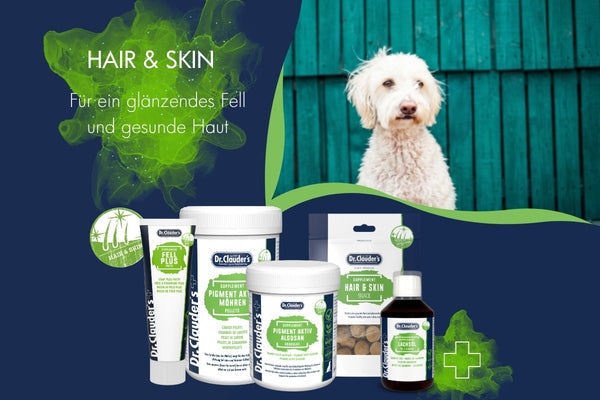 Haut und Fell bei Hund und Katze unterstützen - Hair & Skin