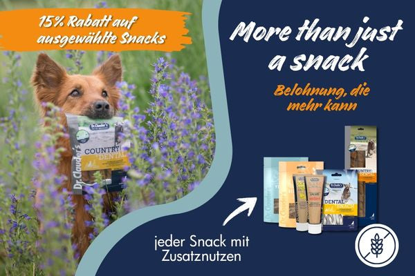 More than just a snack