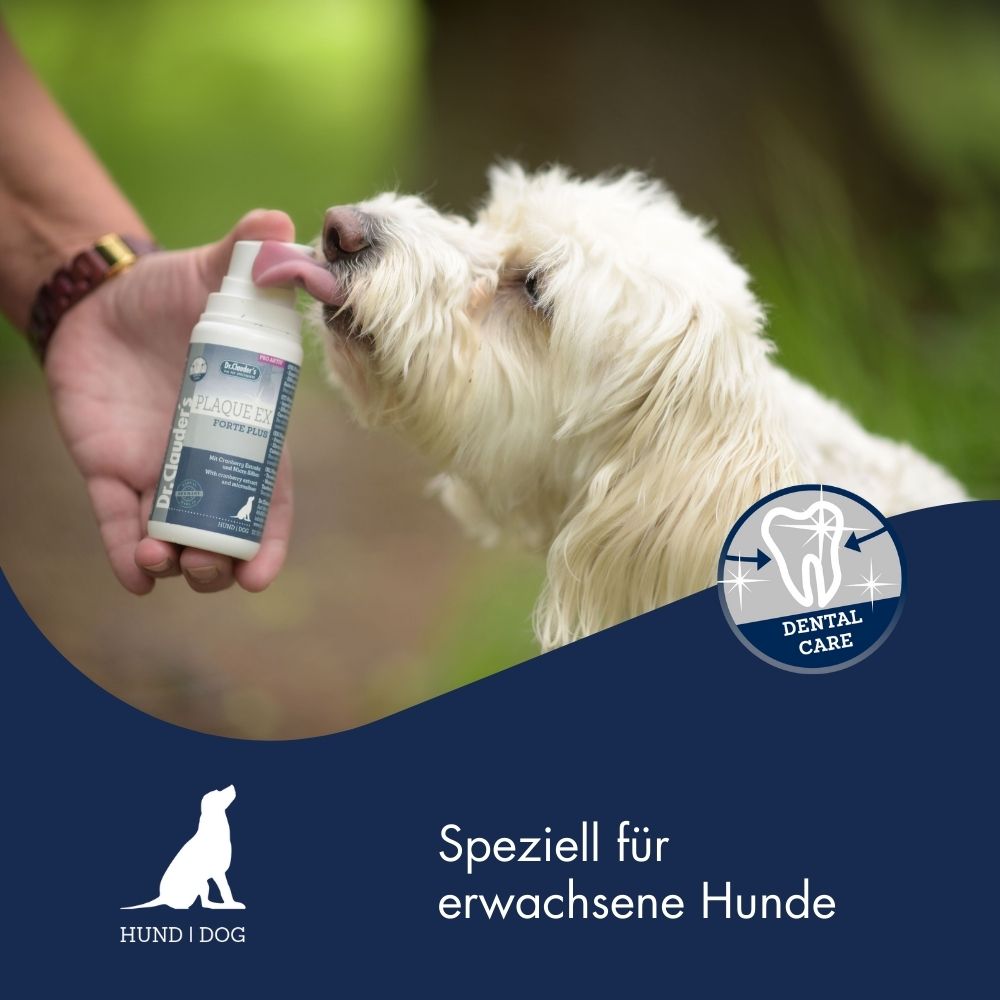 Plaque Ex Forte Plus für Hunde 5