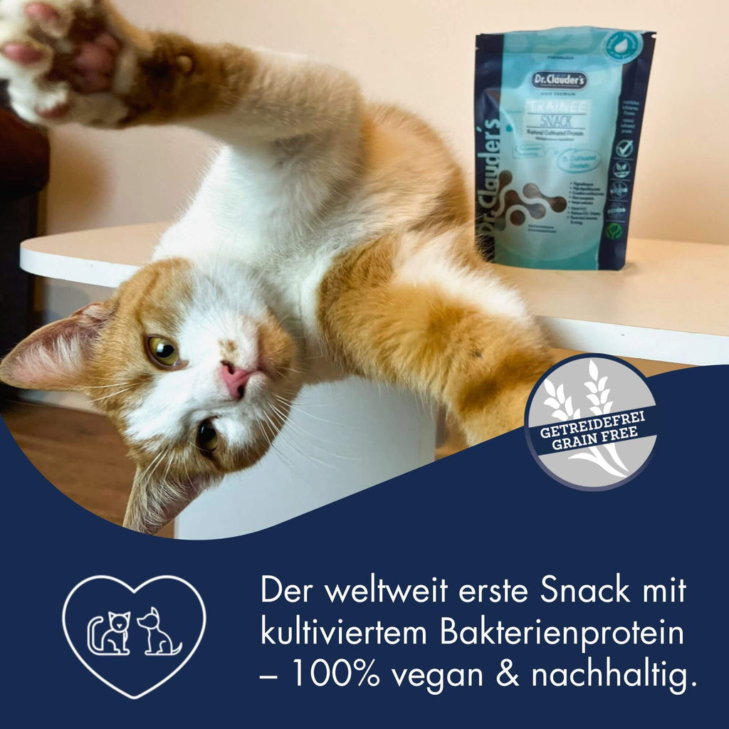 Trainee Snack Cultivated Protein 5