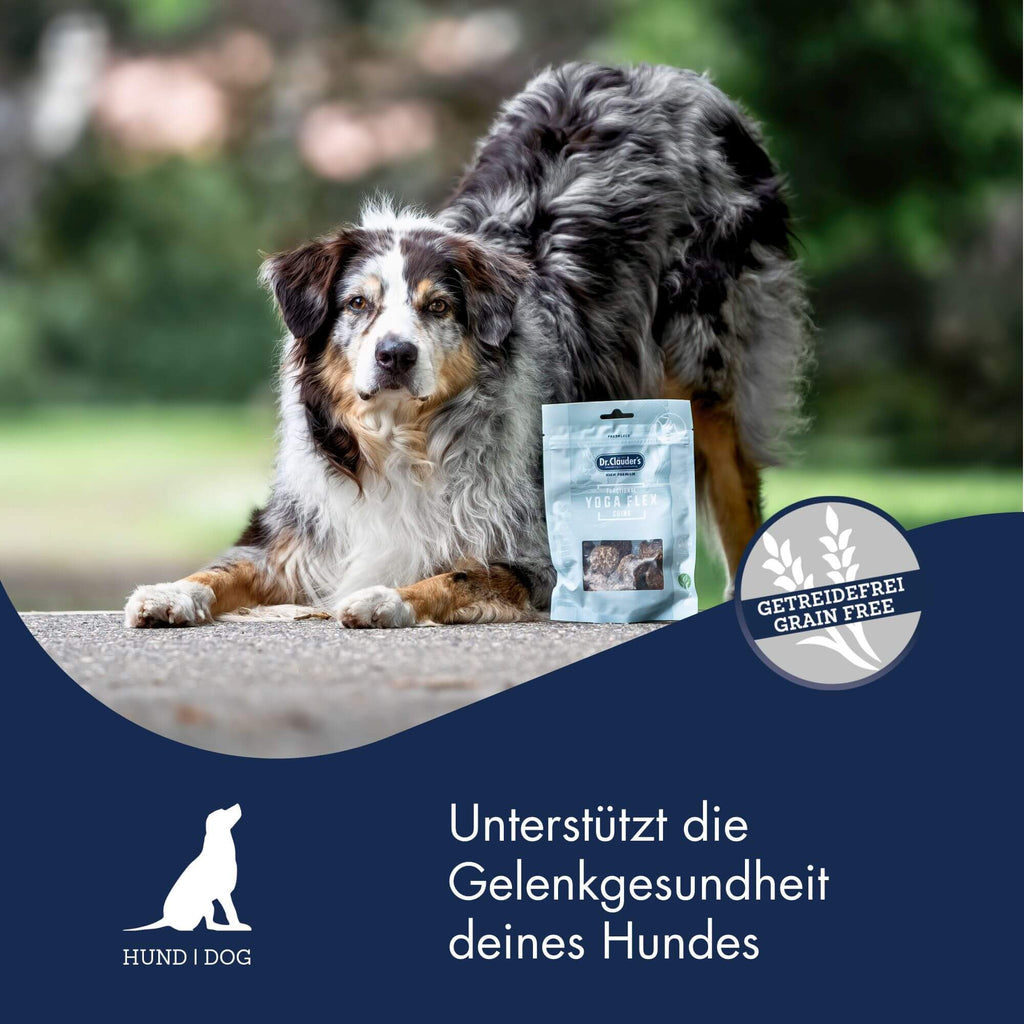 Functional Coins Yoga Flex 5