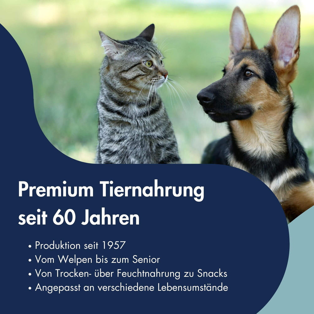 Functional Coins Yoga Flex 13