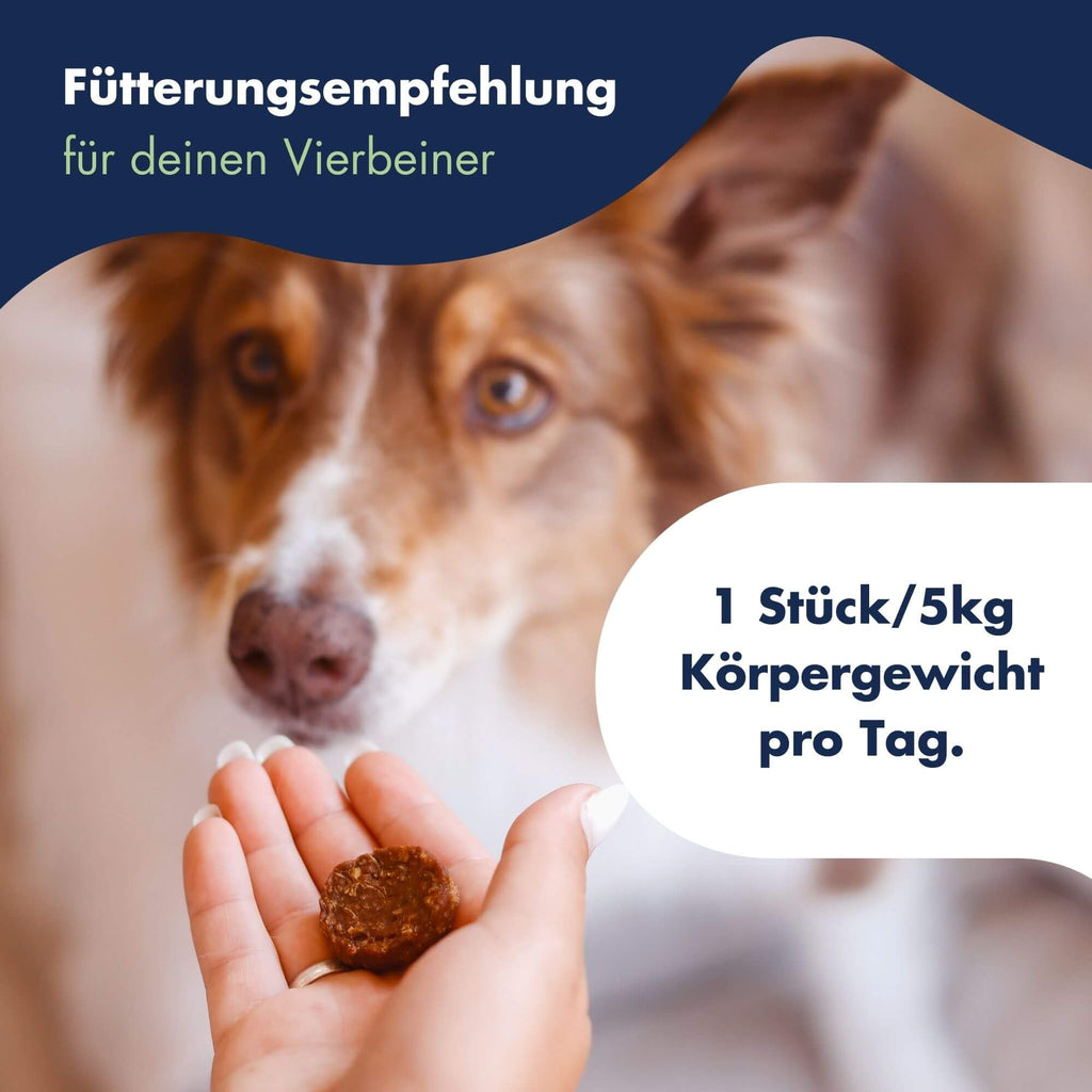 Functional Coins Shiny Star 9