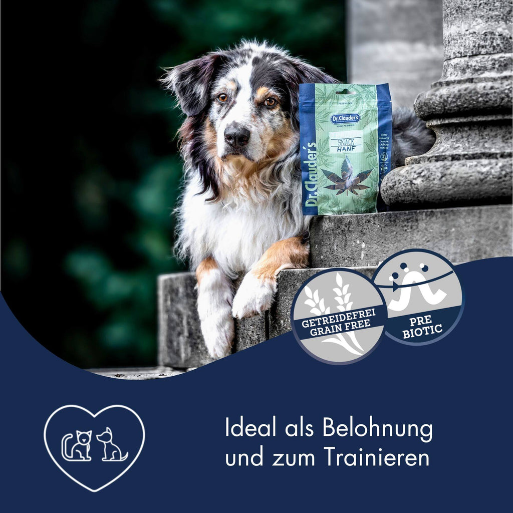 Dr.Clauder´s Trainee Snack Hanf 5