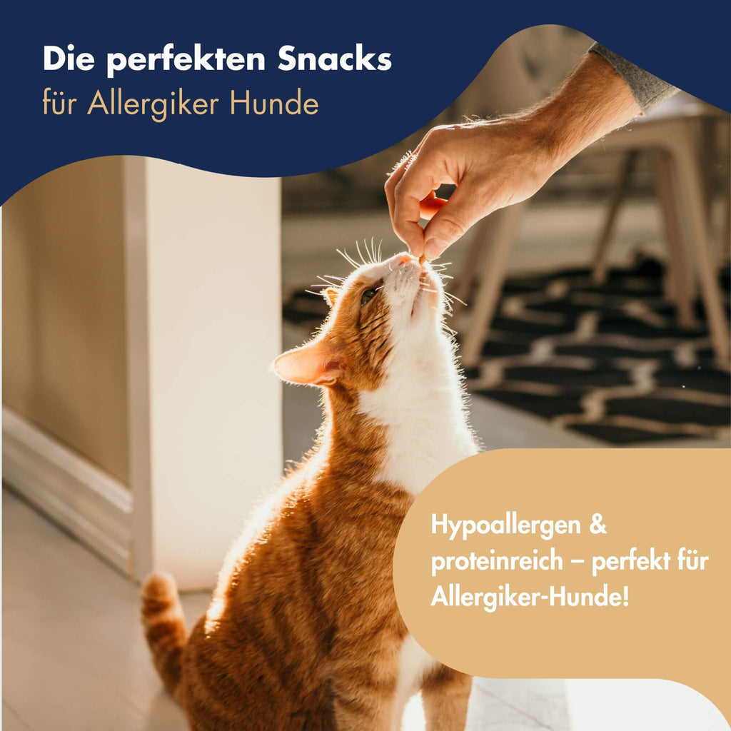 Dr.Clauder´s Trainee Snack Insekt 9