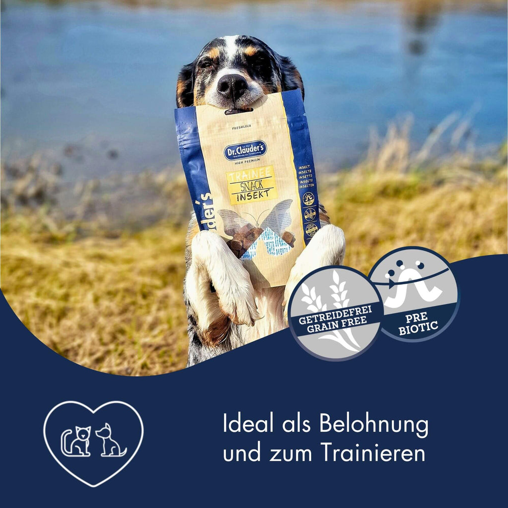 Dr.Clauder´s Trainee Snack Insekt 5