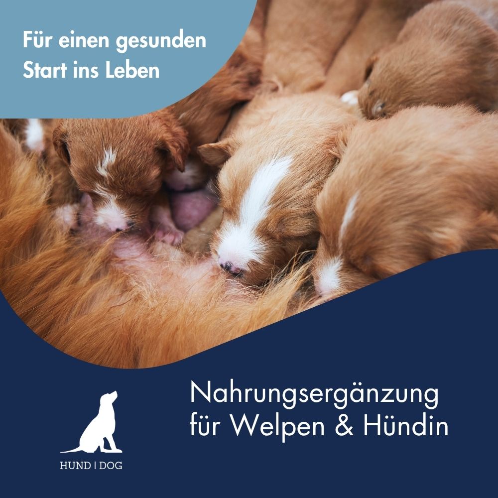 Welpenmilch+ 7
