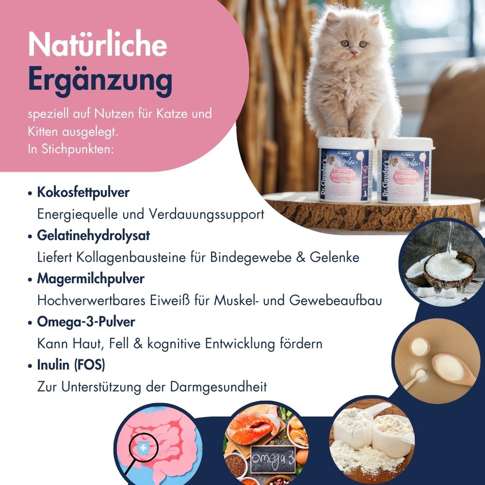 Kittenmilch+ 11