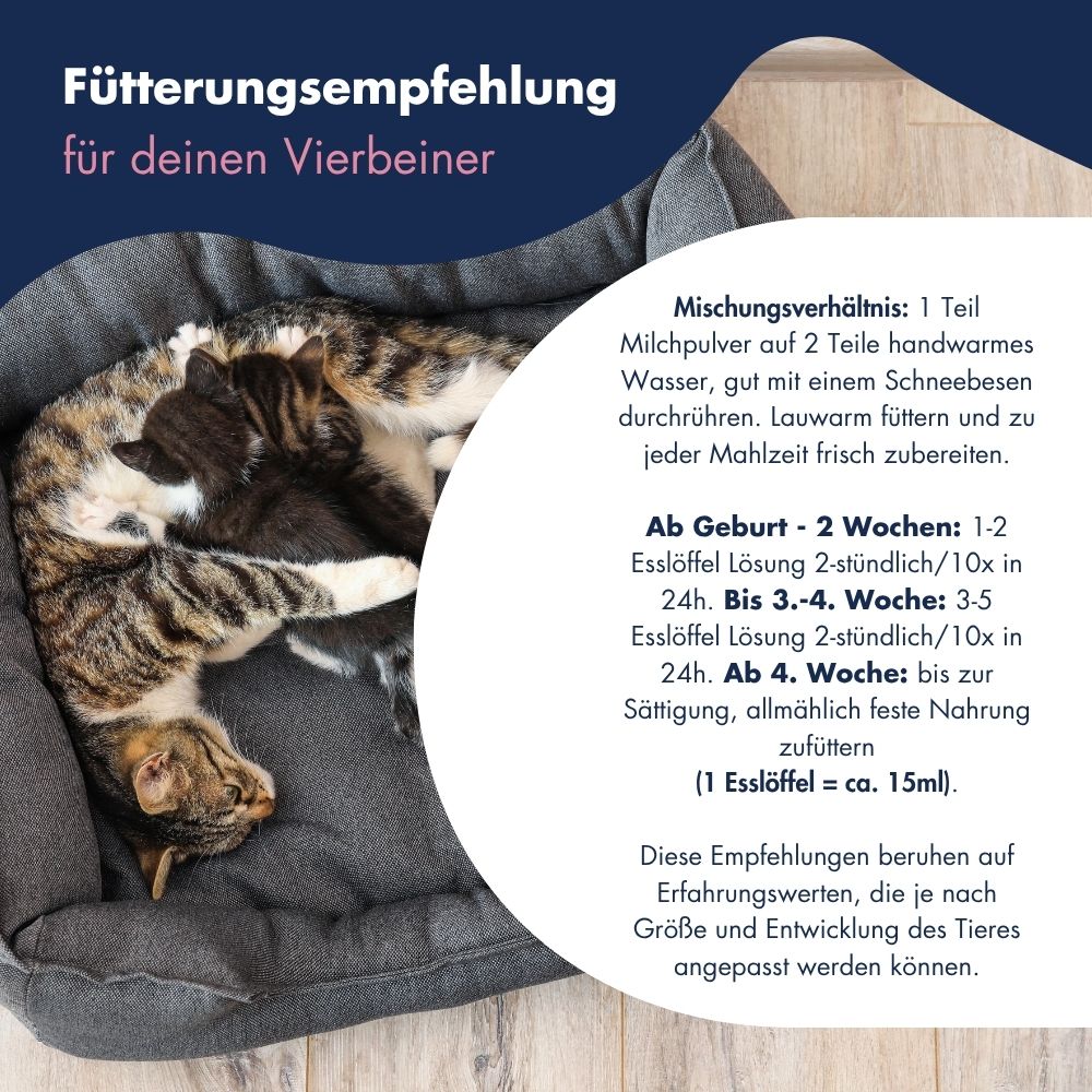 Kittenmilch+ 13