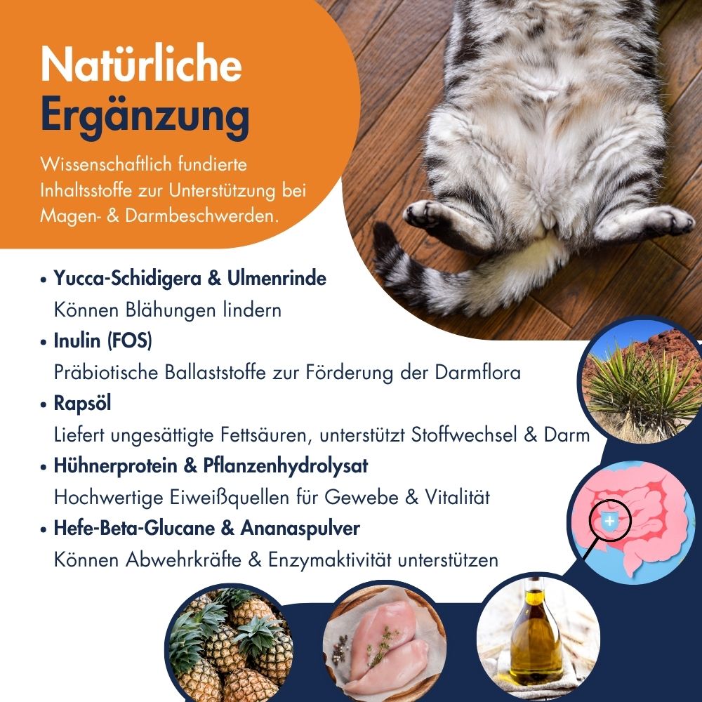 Magen-Darm Emulsion 150g 11