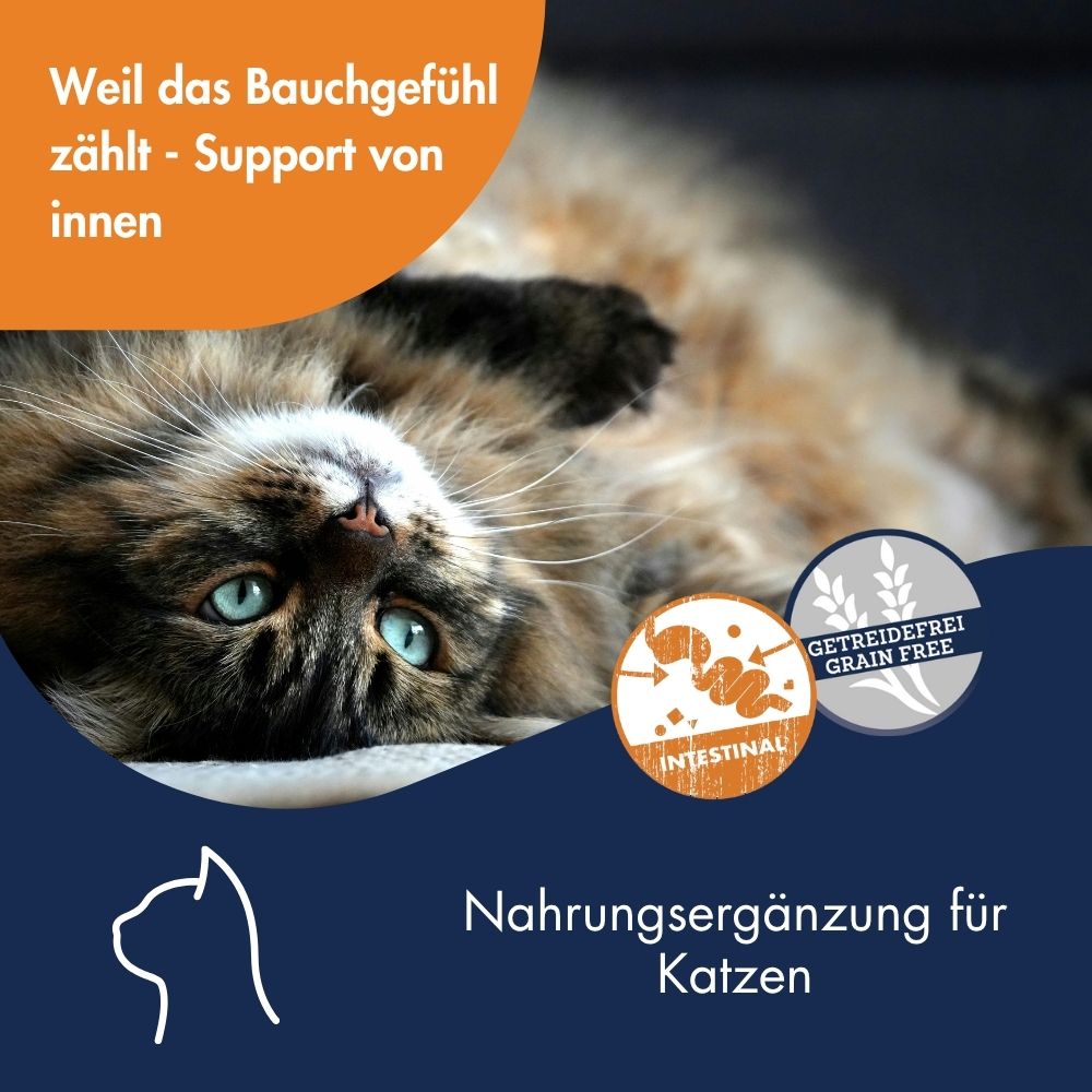 Antihairball Paste mit Taurin 7