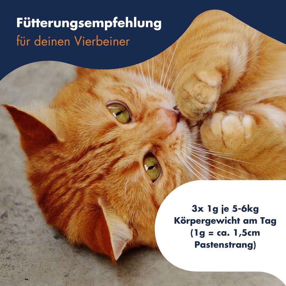 Antihairball Paste mit Taurin 13