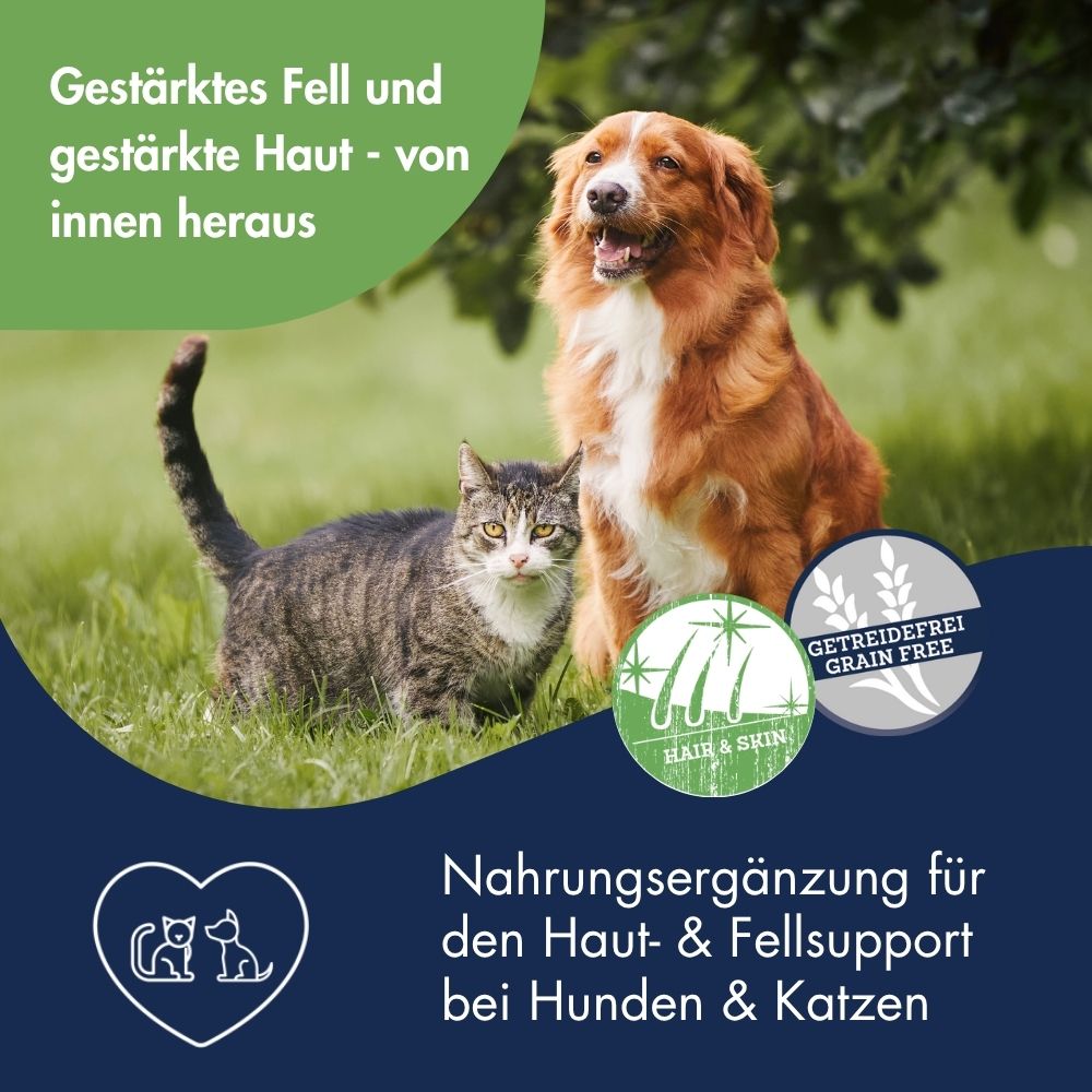 Fell Plus Paste 7