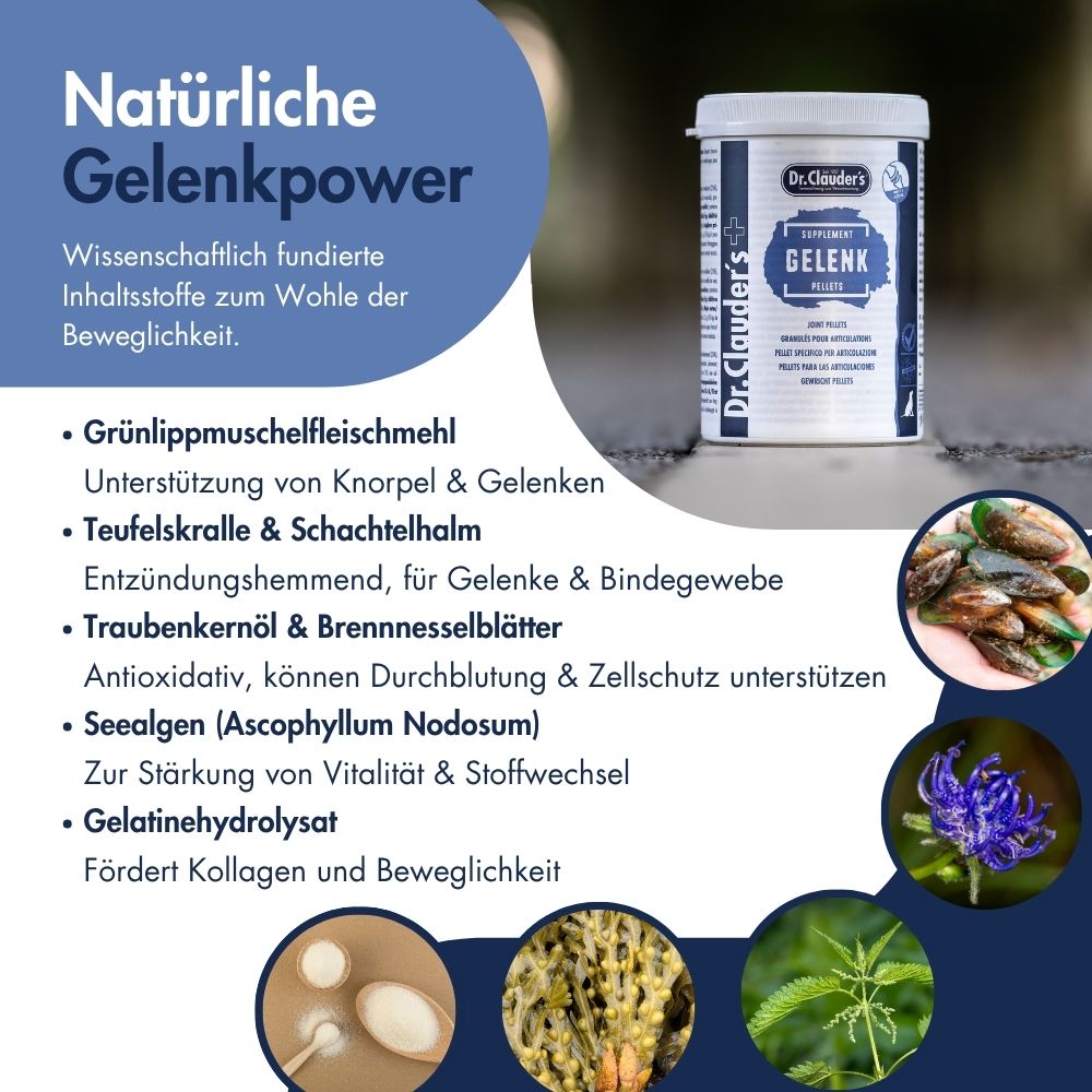 Gelenk Pellets 11