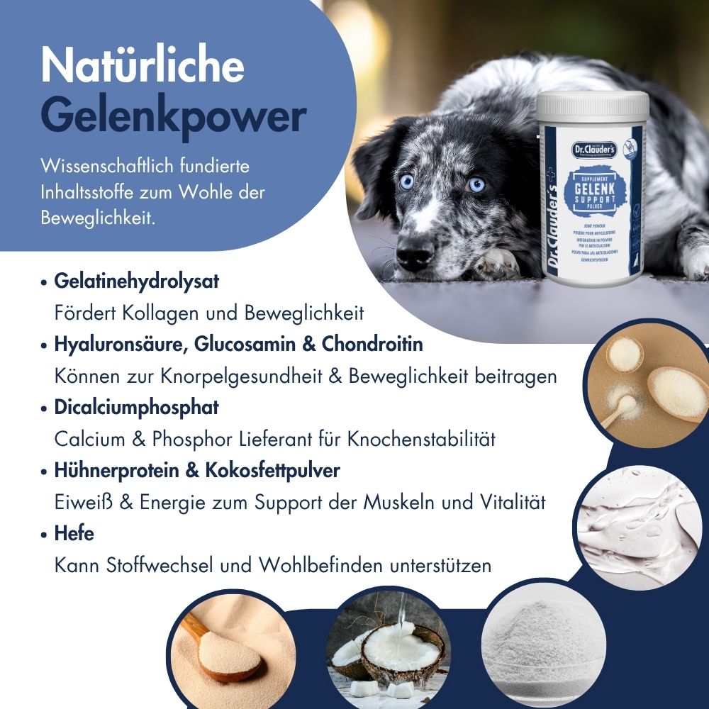 Gelenk Support Pulver 11