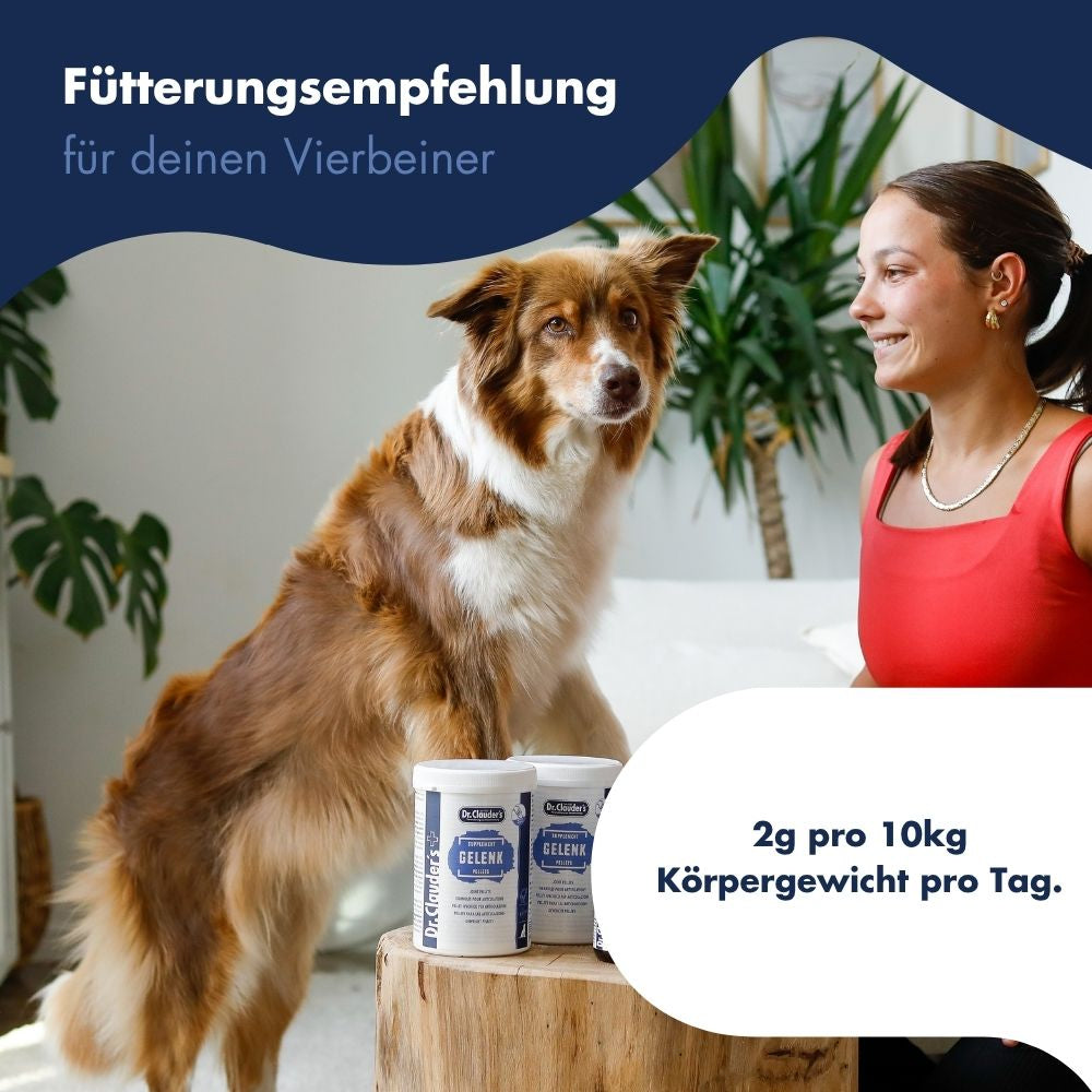Gelenk Support Pulver 13
