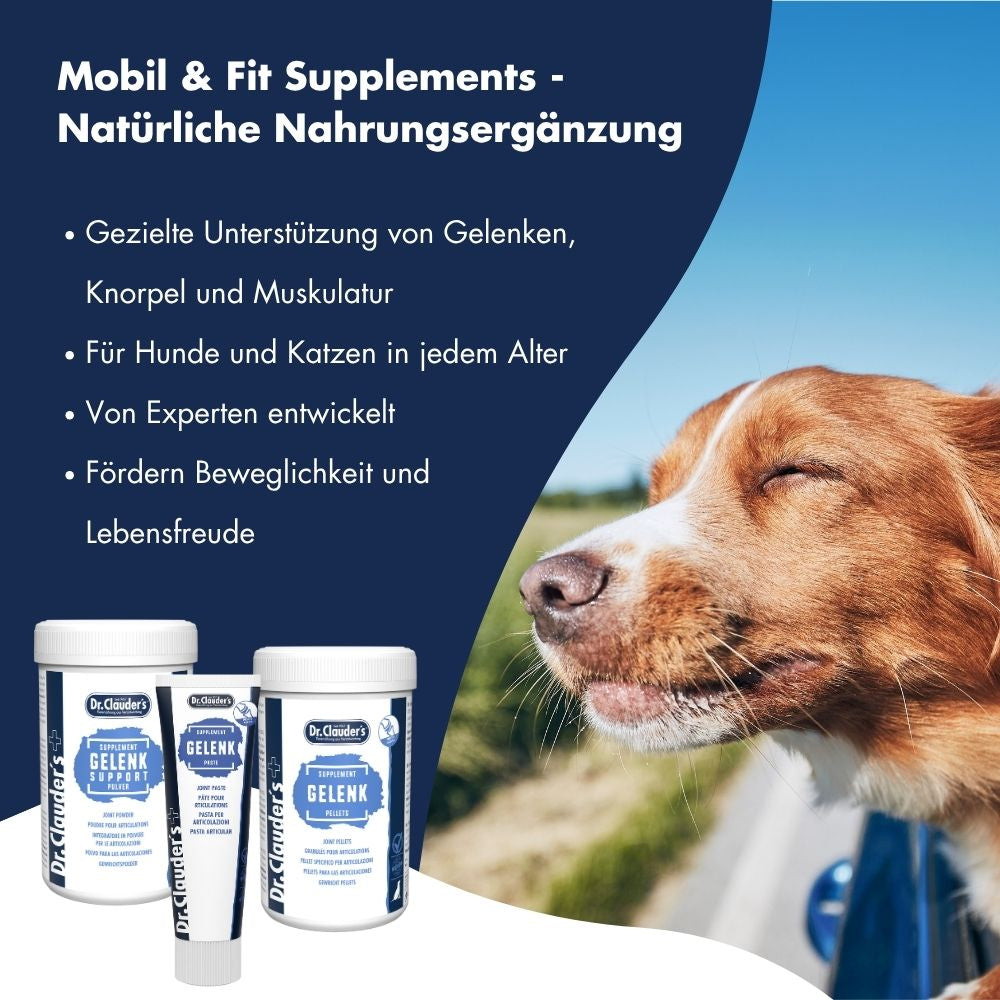 Gelenk Support Pulver 15