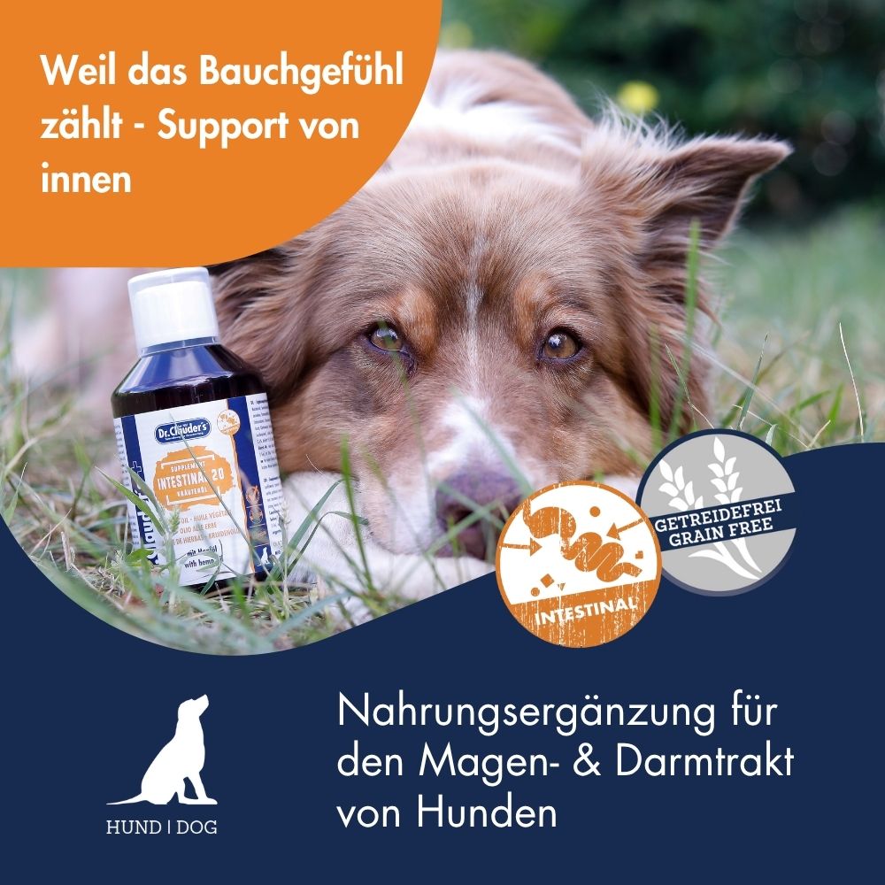 Intestinal 20 Kräuteröl 7