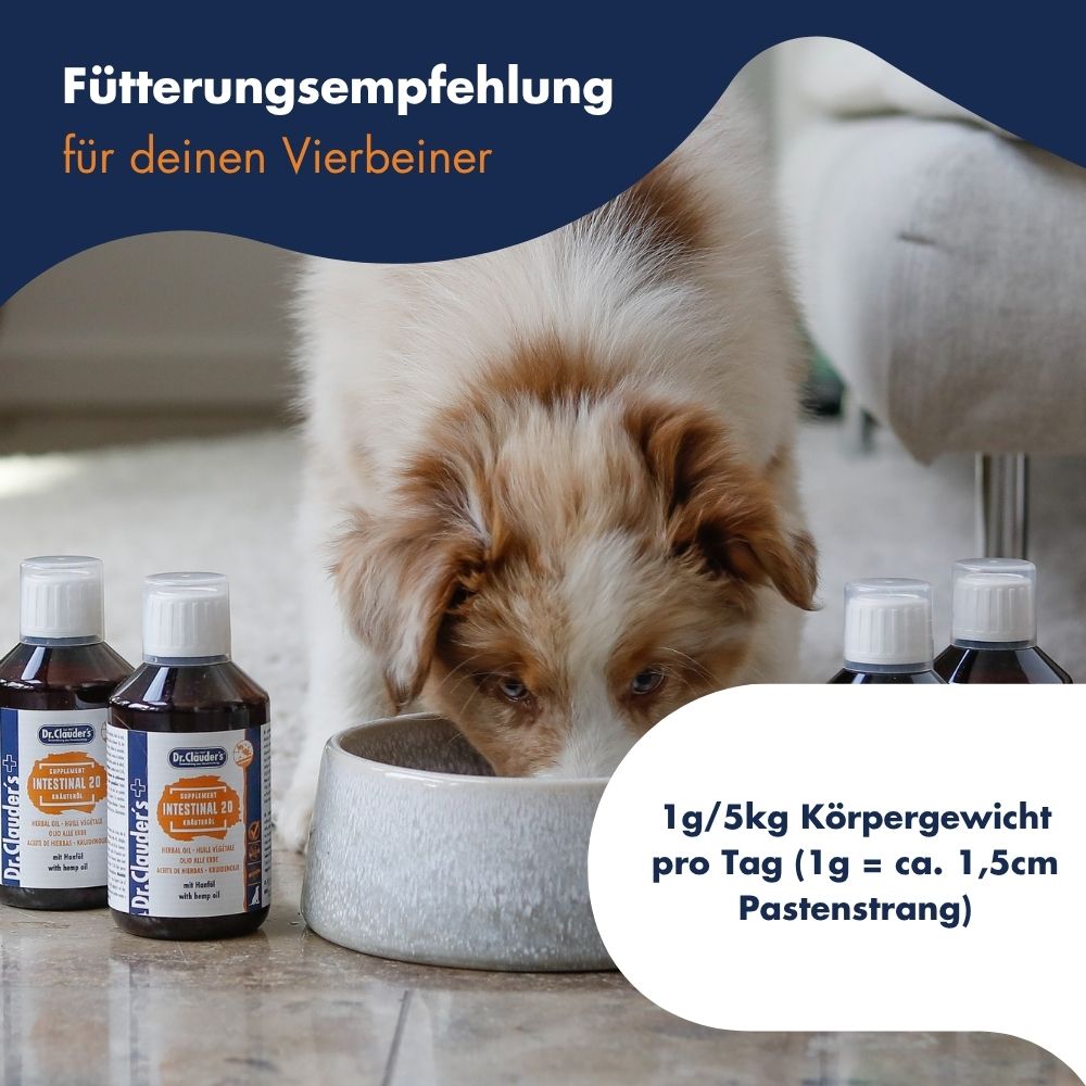 Intestinal 20 Kräuteröl 13