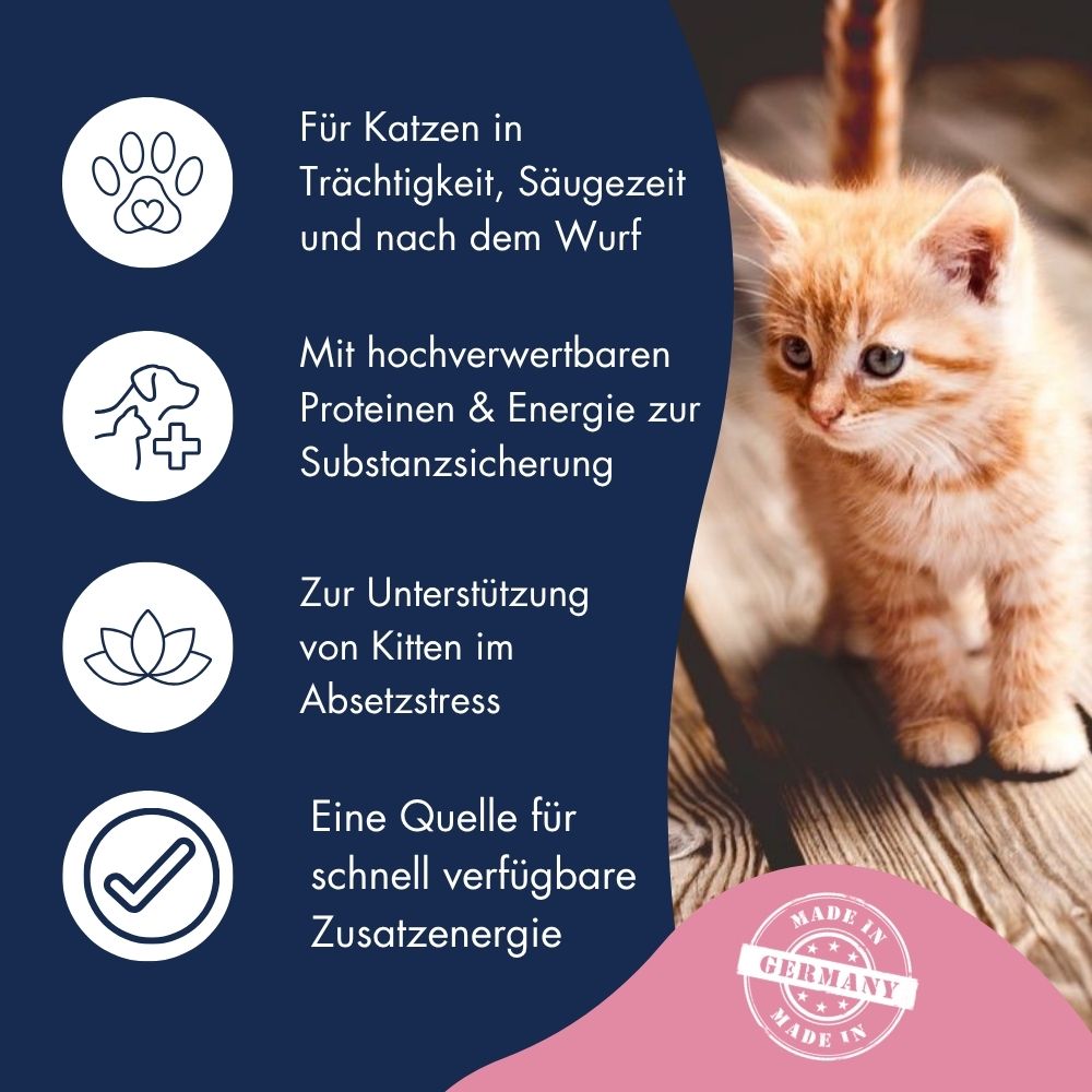 Katze Kätzchen Emulsion 9