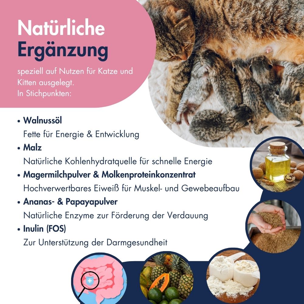 Katze Kätzchen Emulsion 11