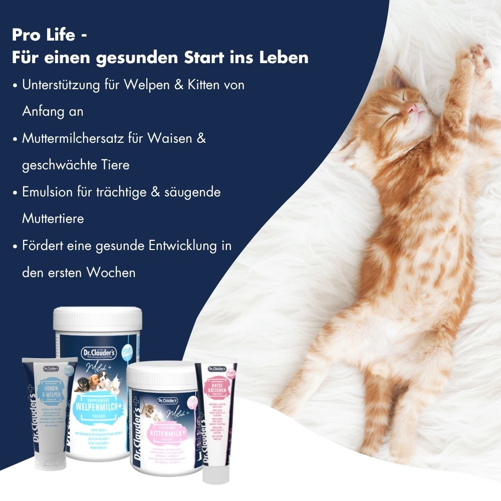 Katze Kätzchen Emulsion 15