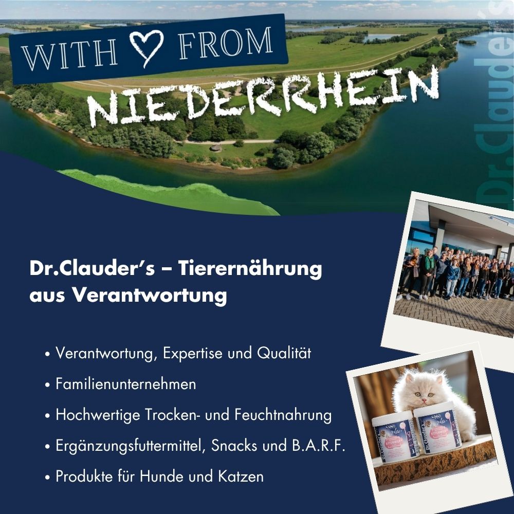 Katze Kätzchen Emulsion 19