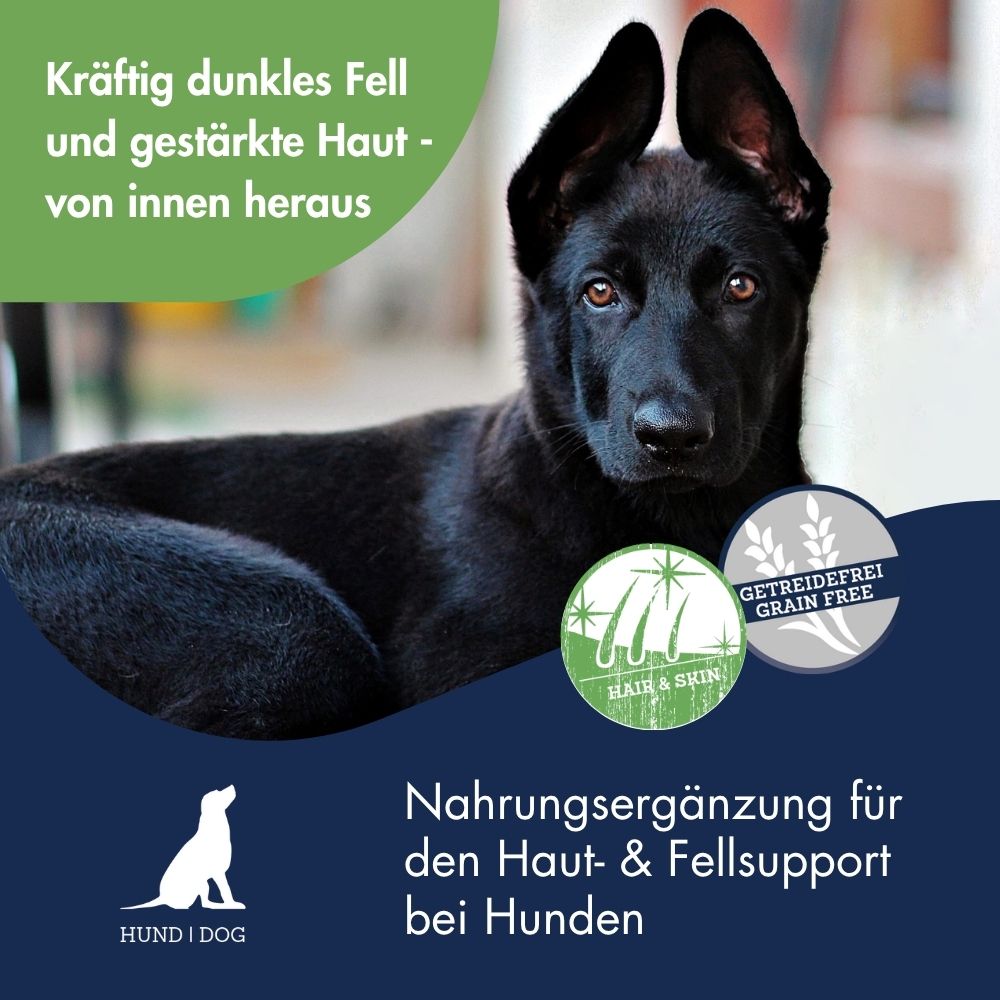 Pigment Aktiv Algosan 7