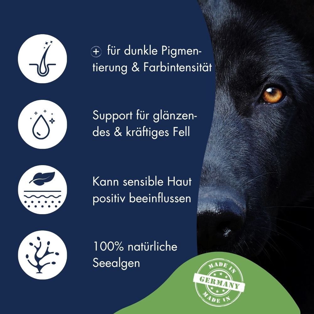 Pigment Aktiv Algosan 9