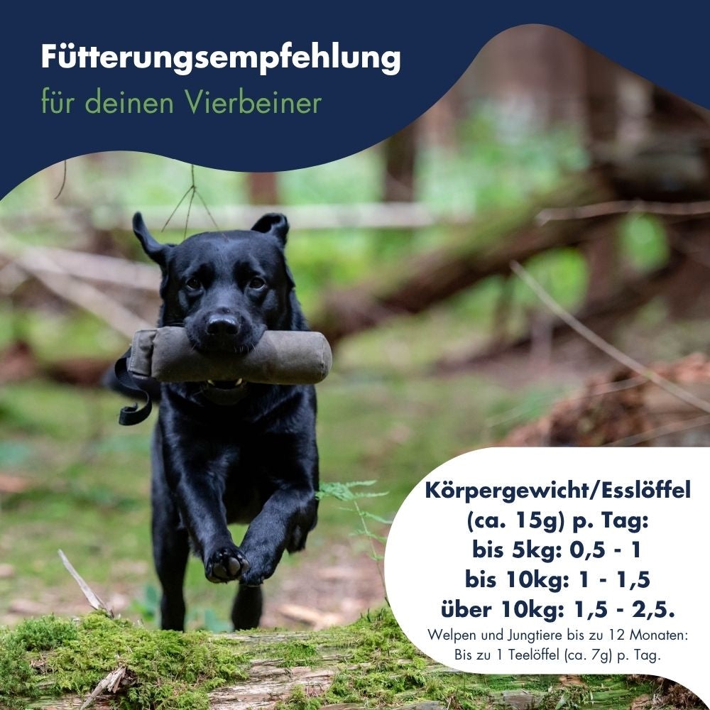 Pigment Aktiv Algosan 13