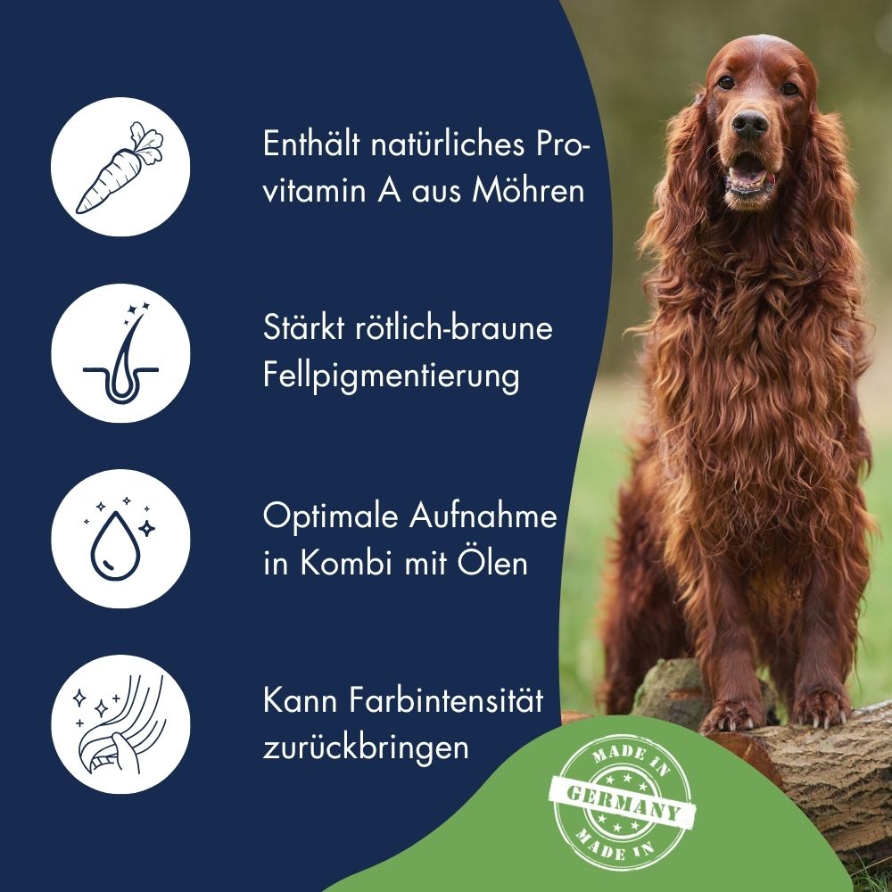 Pigment Aktiv Möhren Pellets 9