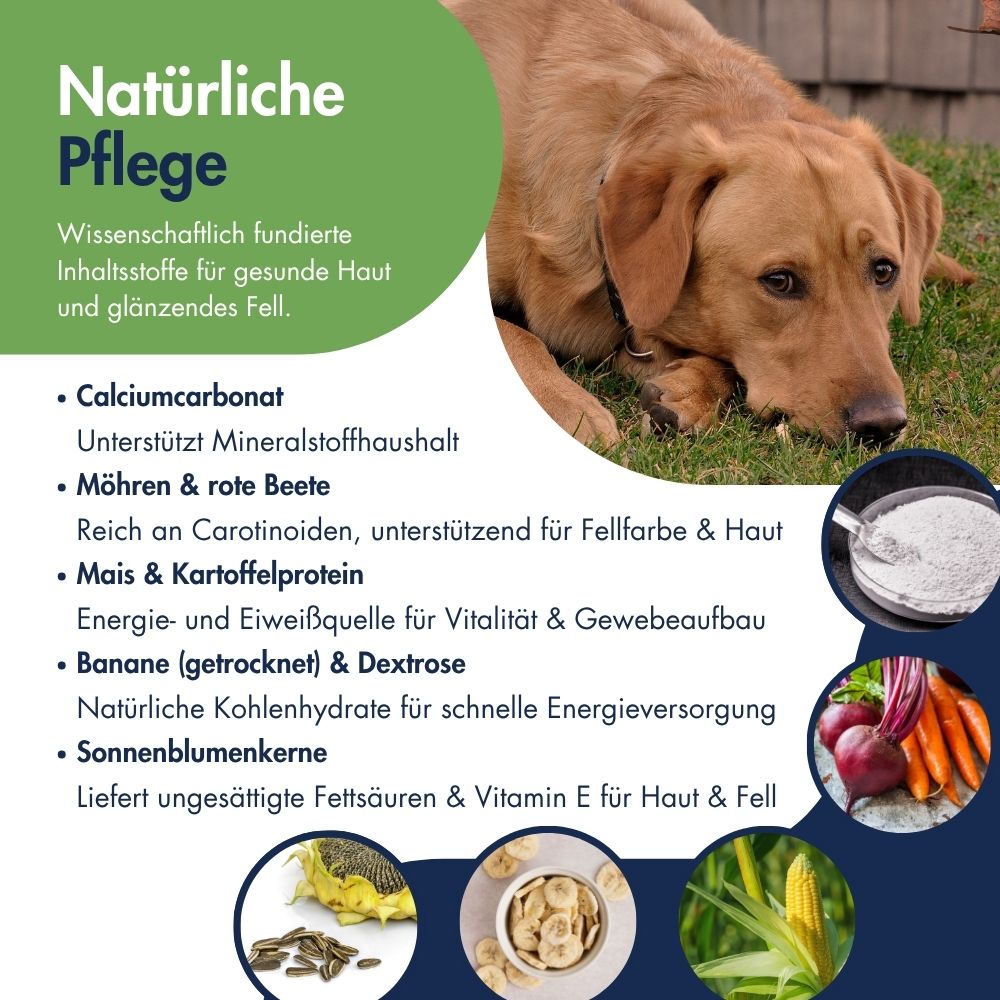 Pigment Aktiv Möhren Pellets 11