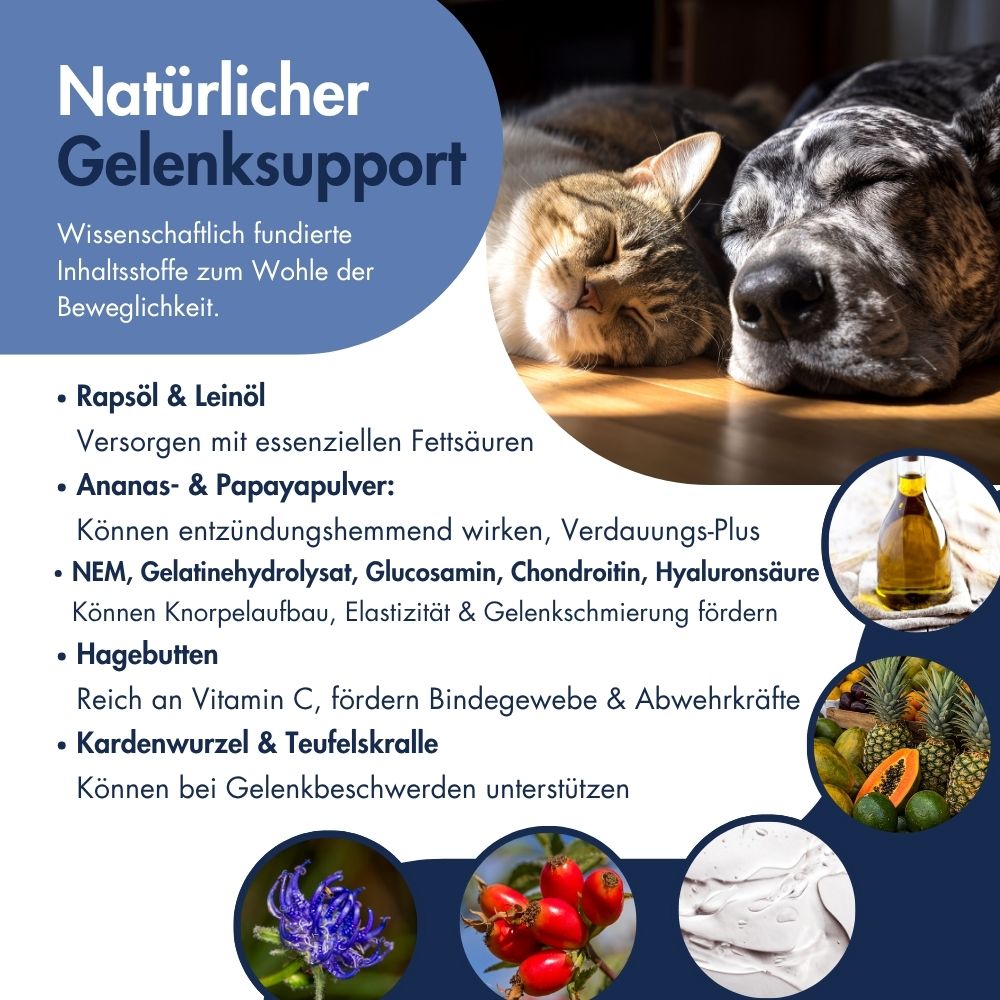 Náttúrulegur liðastuðningur með NEM, glúkósamíni, kondróitíni og jurtum