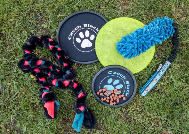 Dog Frisbee  Dr.Clauder solutions for pets GmbH