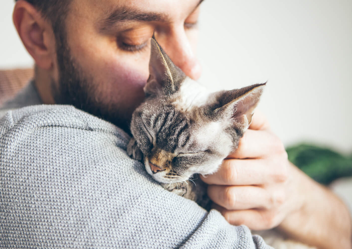 Krankes Kätzchen erholt sich auf dem Arm ihres Menschen