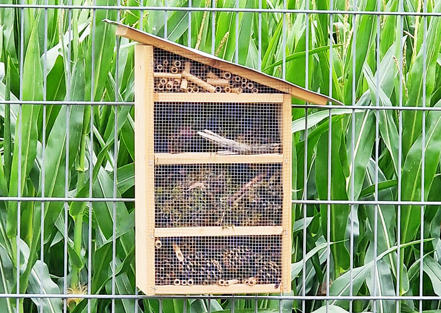 Nachhaltigkeit, Bienenhotel